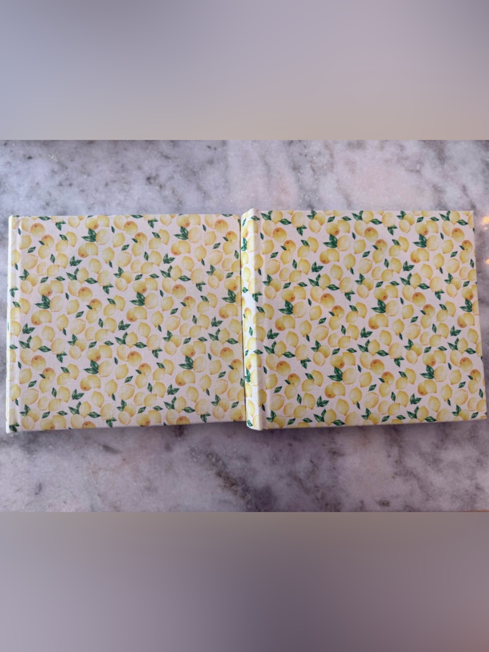 Lemon Print Photo Albums – Set of 2 – BNWT 🍋📸✨ Stationary Art Craft Photo